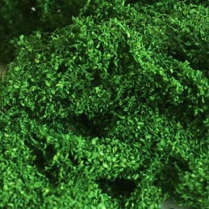 Tasma Products 00891 - Medium Green Foliage Cluster